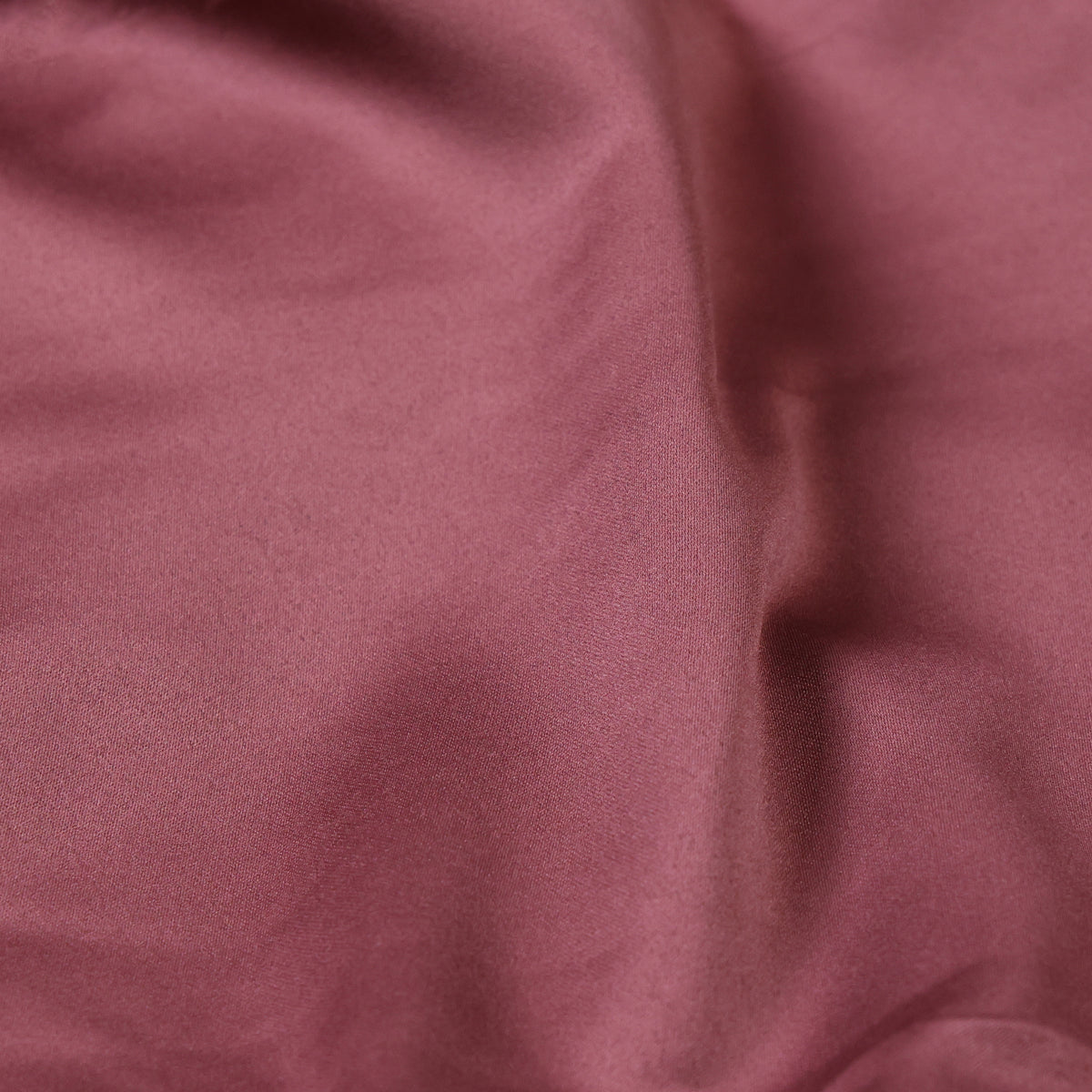 Persian Pink- Ms