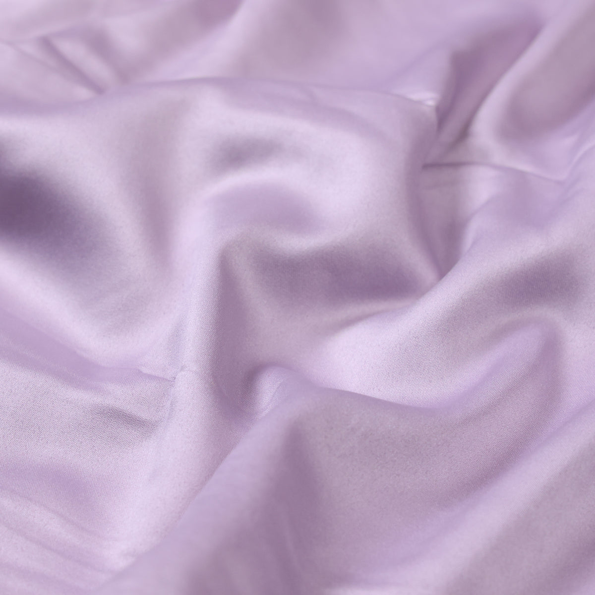 Lavender- Ms